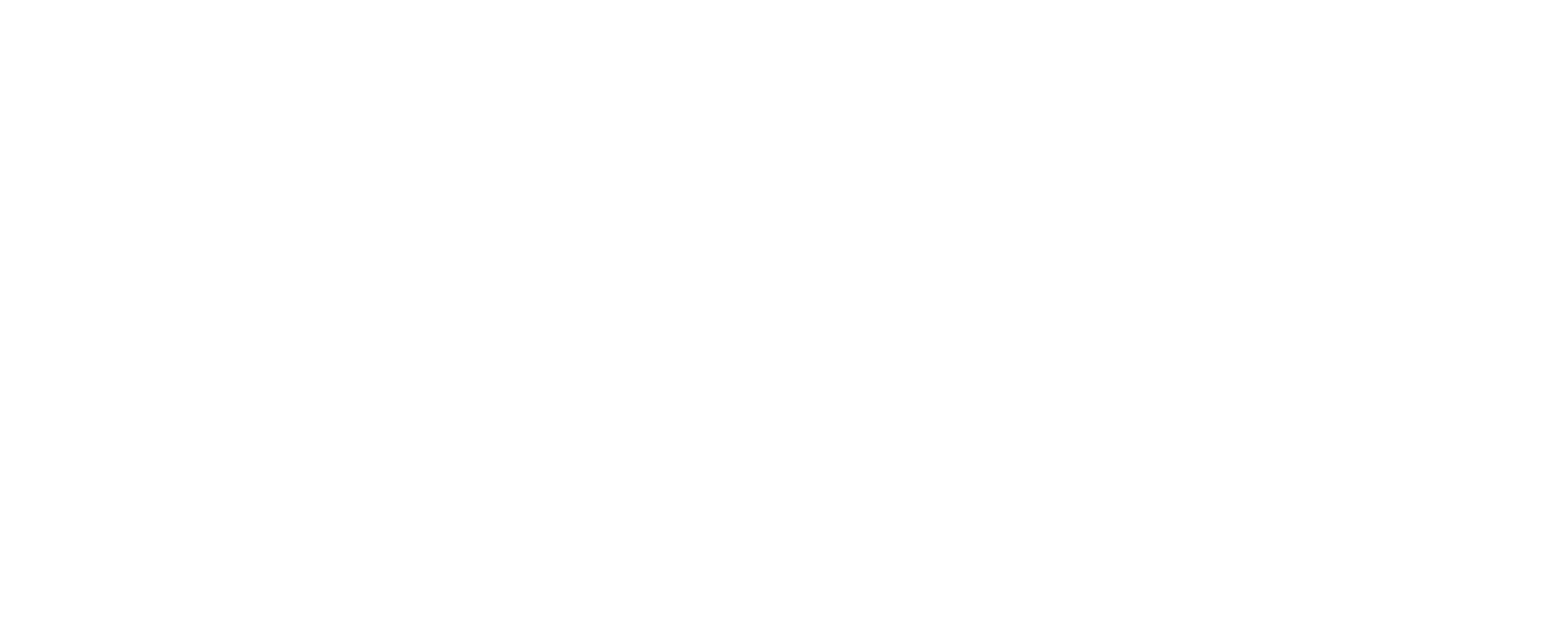 Pardis Logistics LLC