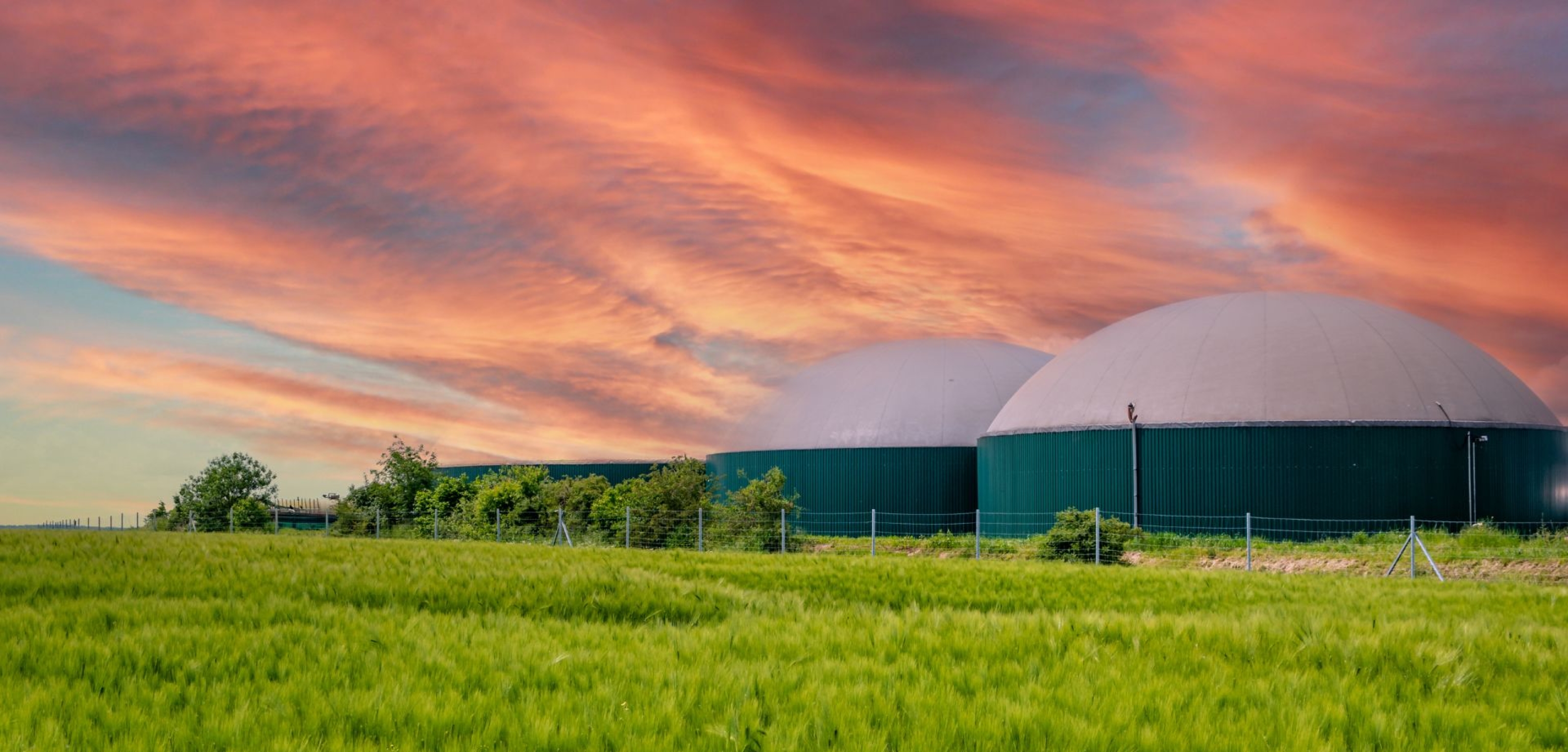 Low Carbon Fuels